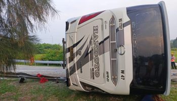 Bus Handoyo Terguling di Tol Cipali, 12 Penumpang Tewas