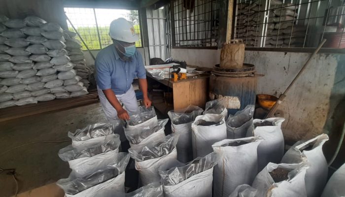PLTU Air Anyir Olah FABA Batu Bara Jadi Pupuk