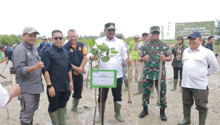 Penjabat Gubernur Babel Ajak Masyarakat Menanam Pohon