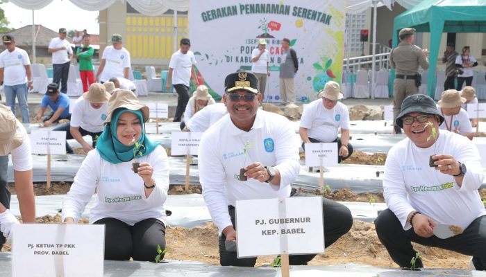 Tanam Cabai Serentak Untuk Kawal Ketahanan Pangan