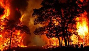 Indonesia Urutan Kedua Negara Berisiko Bencana di Dunia