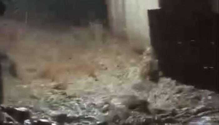 15 Orang Meninggal Akibat Banjir Bandang di Sumbar, Berikut Datanya