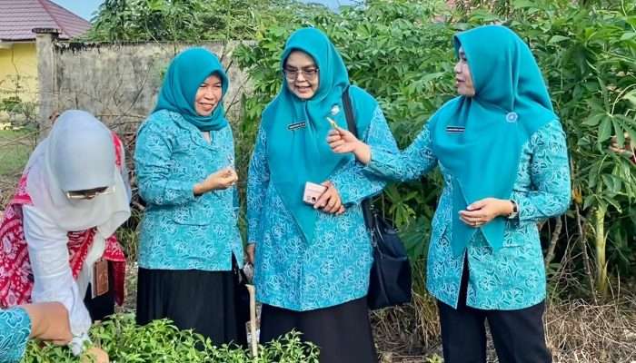 Safriati Panen Cabai di UPTD-PSBLH Desa Selinsing