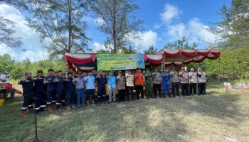 PT Timah  Bersama Karang Taruna Tanam 2500 Pohon Mangrove di Pantai Nyiur Melambai
