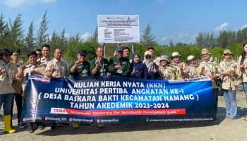 PT Timah Ajak Mahasiswa KKN Uniper Tanam Bibit Mangrove