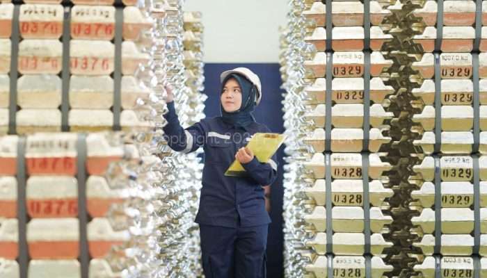 TINS Lunasi Obligasi dan Sukuk Tepat Waktu