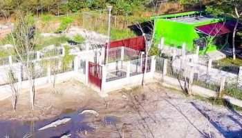 PT Timah Bersama PPS Alobi Rehabilitasi Puluhan Buaya di Kampoeng Reklamasi Air Jangkang