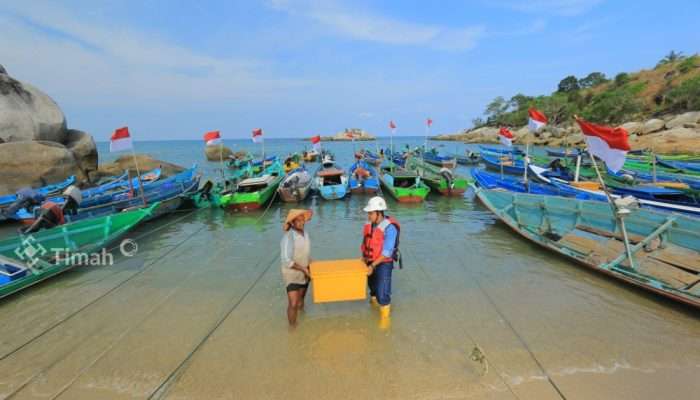 PT Timah Fokus Program PPM Tahun 2024 untuk Mendorong Kemandirian Ekonomi Masyarakat