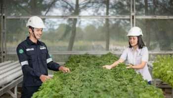 PT Timah Berkomitmen Kelola Lingkungan untuk Masa Depan Berkelanjutan