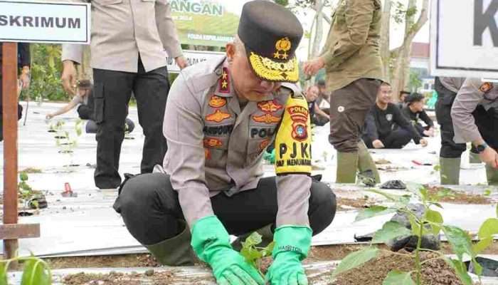 Penjabat Gubernur Bangka Belitung Tanam Bibit Cabai Bersama Kapolda