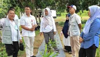Pimpinan BI Bangka Belitung Kunjungi Kebun PKK Cikar