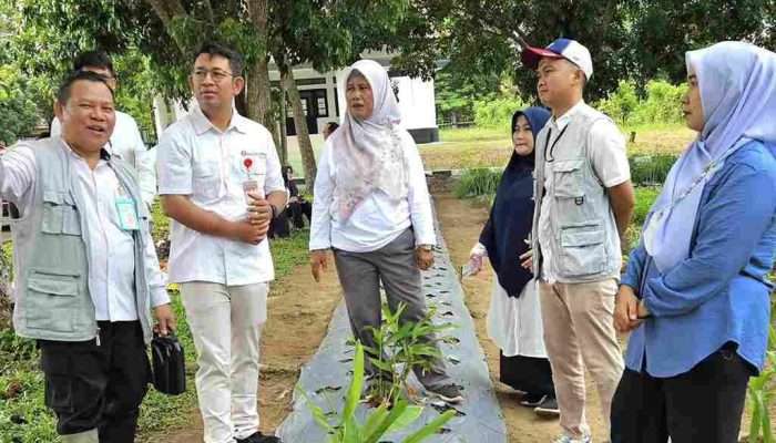 Pimpinan BI Bangka Belitung Kunjungi Kebun PKK Cikar