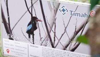 PT Timah Bersama Alobi Foundation Rehabilitasi Ratusan Satwa