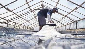 KUPS Garam Mudong Lestari Bangkit Berkat Dukungan PT Timah Tbk