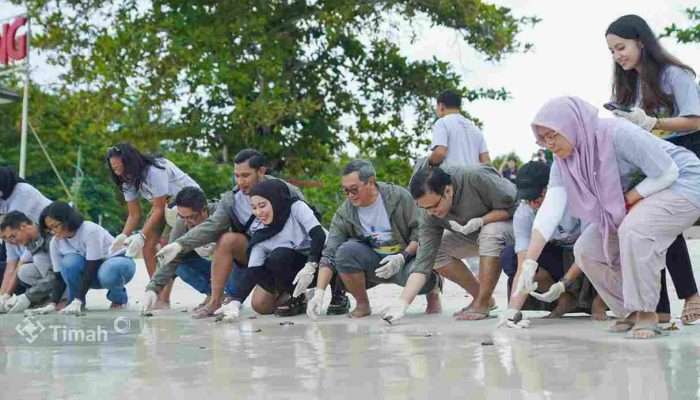 PT TIMAH Tbk Bersama Grup MIND ID dan BKSDA Sumsel Lepasliarkan Tukik Penyu Sisik di Belitung