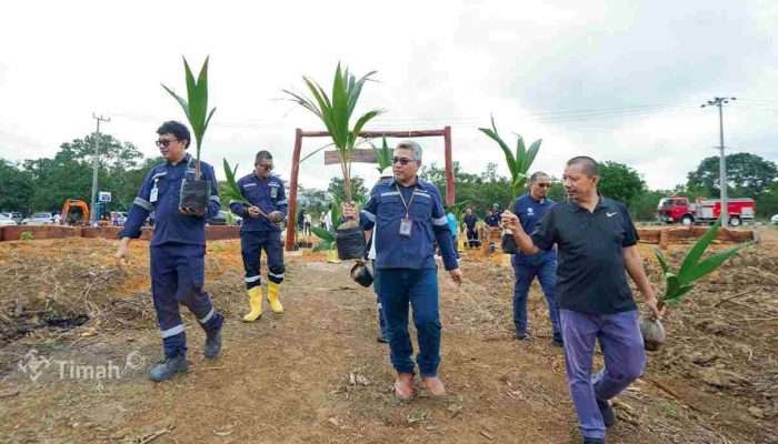 Dukung Program Ketahanan Pangan Nasional, PT Timah Bangun Tanjung Ular Farm Estate