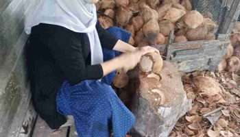 Kisah Transformasi Usaha Nuriah bersama PT Timah