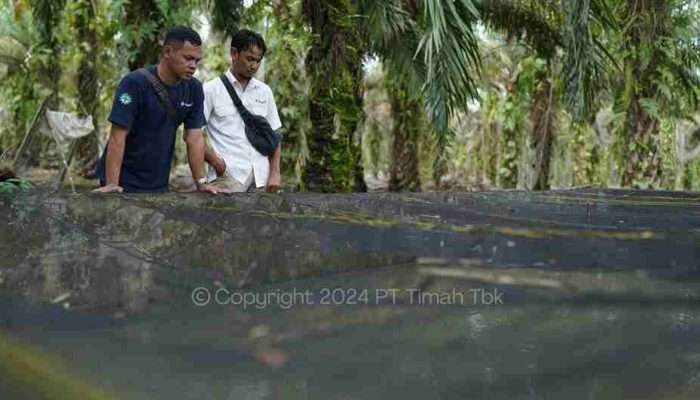PT Timah Berikan Bantuan Usaha untuk Kelompok Usaha Sumber Rezeki Bangka Barat