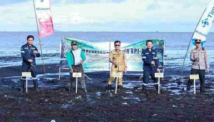 PT Timah Tanam 3000 Mangrove di Pantai Sesai Party Beach untuk Cegah Abrasi dan Jaga Ekosistem Pesisir