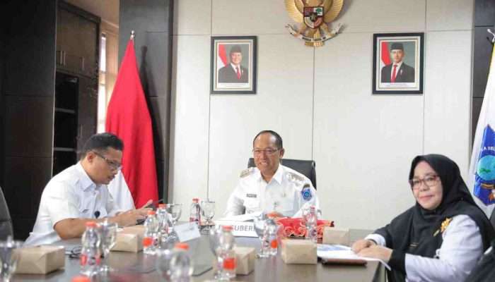 Pemprov Babel Upayakan Kejelasan Status Honorer