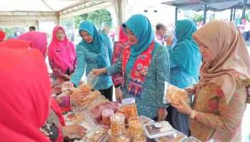 TP PKK Bangka Belitung Lawatan ke PKK Jakarta Timur Tinjau RPTRA