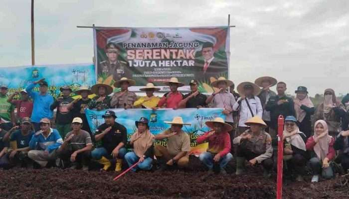 PT Timah Tbk Bersama Polsek Kundur Utara/Barat Tanam Serentak 1 Hektar Pohon Jagung