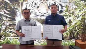 PT Timah dan PLN Berkolaborasi Tingkatkan Kapasitas Listrik untuk Operasional Lebih Efisien