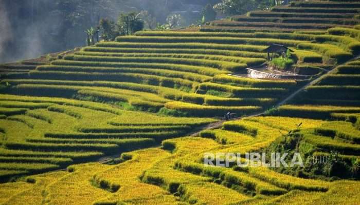 Cukup Gunakan KTP, Petani Jateng Bisa Beli Pupuk Bersubsidi