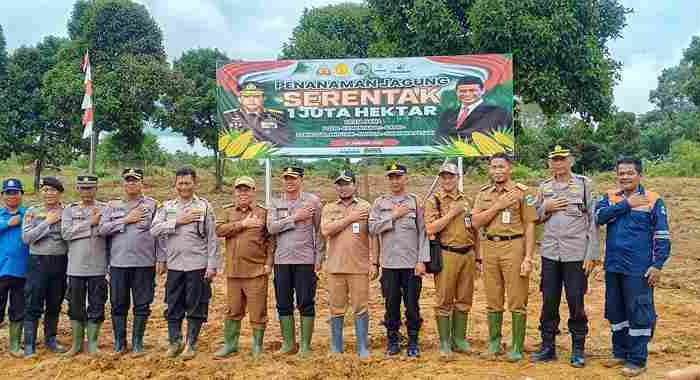 Polresta Pangkalpinang Bersama Penjabat Walikota Lakukan Penanaman Bibit Jagung