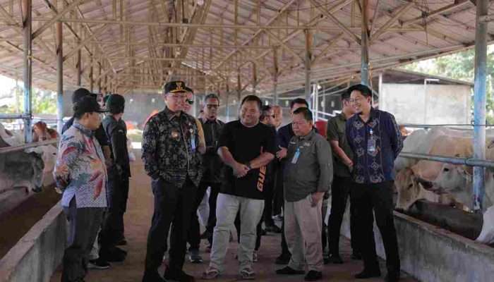 Stok Daging di Babel Menjelang Puasa dan Lebaran Aman