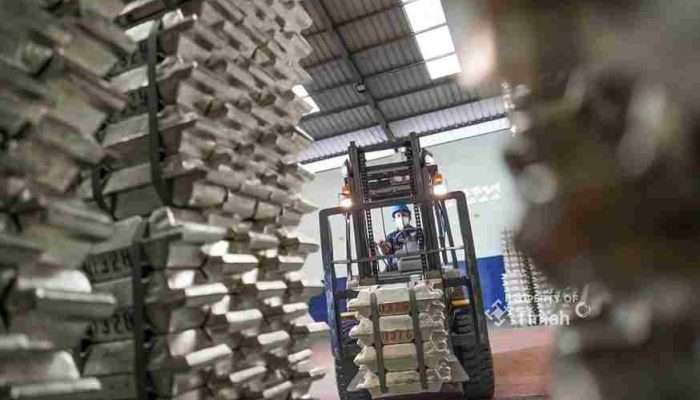 Tahun 2024, PT Timah Setor Pajak Sebesar Rp848 Miliar Lebih