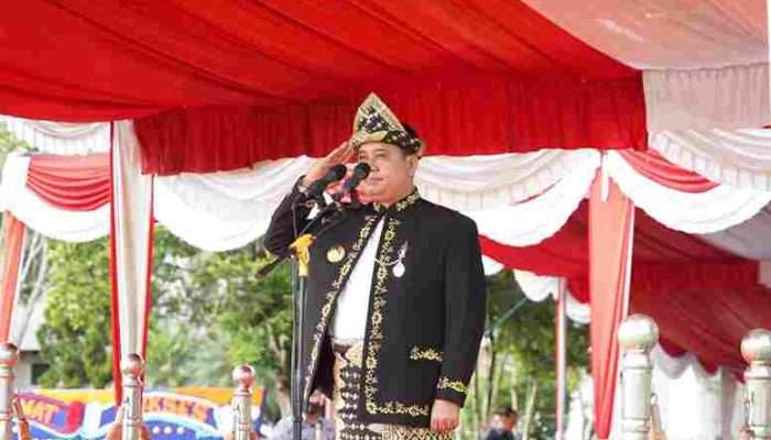 HUT ke 23, Momentum Memantapkan Banyuasin sebagai Lumbung Pangan Nasional