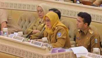 Wagub Hellyana Hadiri Raker Bersama Komisi II DPR RI dan Kemendagri