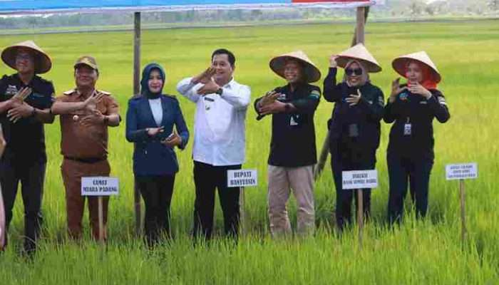 Bupati Banyuasin Apresiasi Bank Sumsel Berikan KUR pada Petani Muara Padang