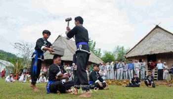 PT Timah Bersama Lembaga Adat Mapur Hadirkan Kampung Adat Gebong Memarong