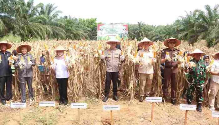 Forkopimda Banyuasin Dukung Swasembada Pangan Nasional