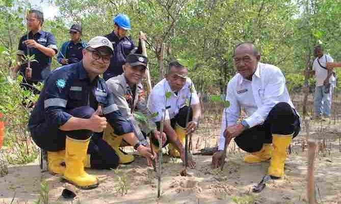 Langkah Berkelanjutan PT Timah Dalam Melestarikan Lingkungan, Tanam 2500 Bibit Mangrove di Karimun