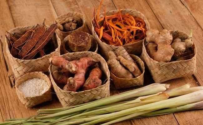 Ini 13 Tanaman Obat yang Sebaiknya Ada di Rumah