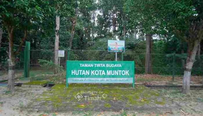 PT Timah Berkomitmen Jaga Flora Fauna Endemik dan Kawasan Konservasi