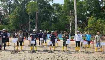 PT Timah Tanam Ribuan Pohon Mangrove di Pesisir Pantai Tanjung Labun untuk Cegah Abrasi