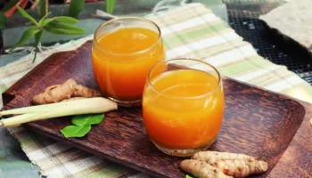 Obat Asam Lambung Tradisional Paling Ampuh