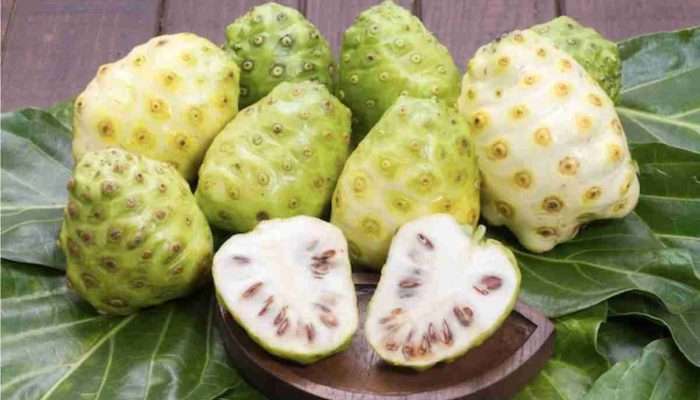 Manfaat Buah Mengkudu bagi Kesehatan Tubuh