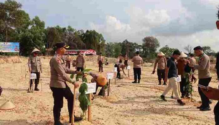 Polres Bangka Barat Tanami Lahan Bekas Tambang