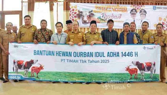 Bupati Bangka Tengah Apresiasi PT Timah Serahkan Hewan Kurban pada Masyarakat