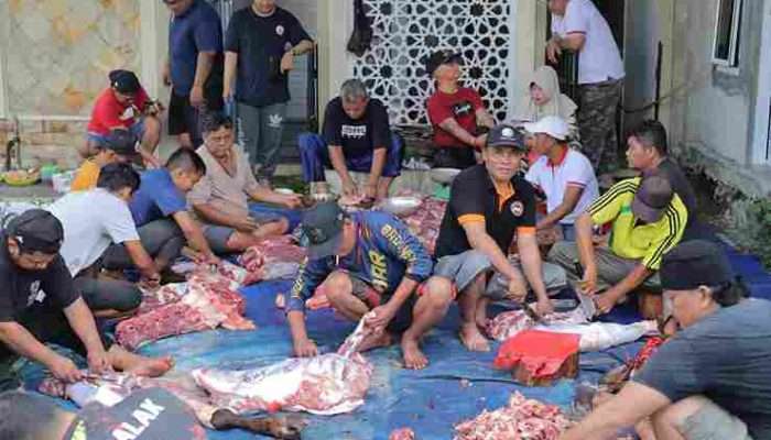 IKM Pangkalpinang Potong 23 Ekor Sapi dan 20 Ekor Kambing Kurban