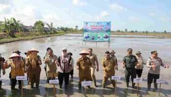 Bangka Belitung Siap Modernisasi Pertanian Wujudkan Kemandirian Pangan