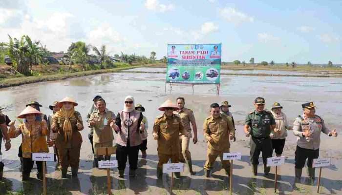Bangka Belitung Siap Modernisasi Pertanian Wujudkan Kemandirian Pangan
