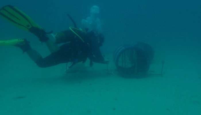 PT Timah Tenggelamkan Atraktor Cumi di Perairan Buku Limau Belitung Timur