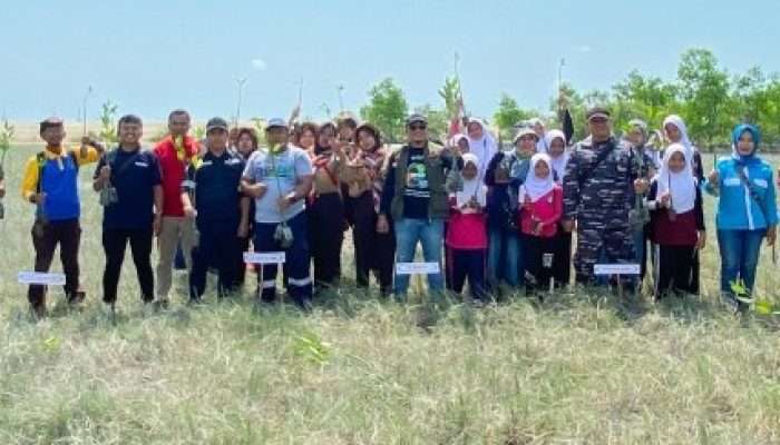 PT Timah Bersama HNSI Bangka Tanam Ribuan Mangrove di Nelayan II Sungailiat