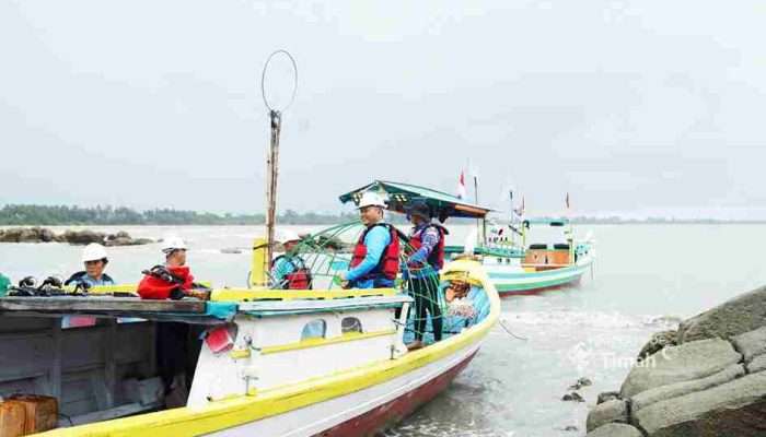 PT Timah Tebar Aritificial Reef  Jaga Ekosistem Laut 